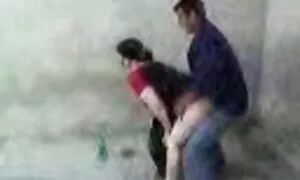 Ուզբեկական հասուն ան ...