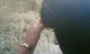 Պարսկական սիրողական  ...